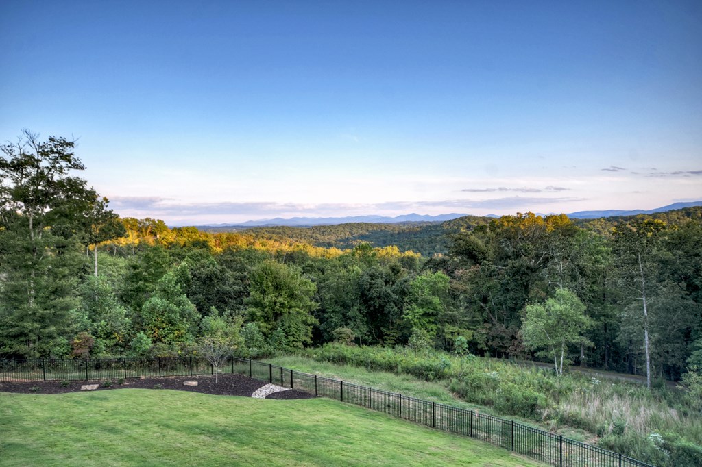 100 Haven Lane Blue Ridge, GA 30513 - Photo 80 of 83