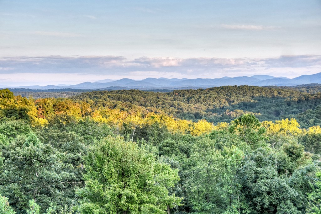 100 Haven Lane Blue Ridge, GA 30513 - Photo 81 of 83