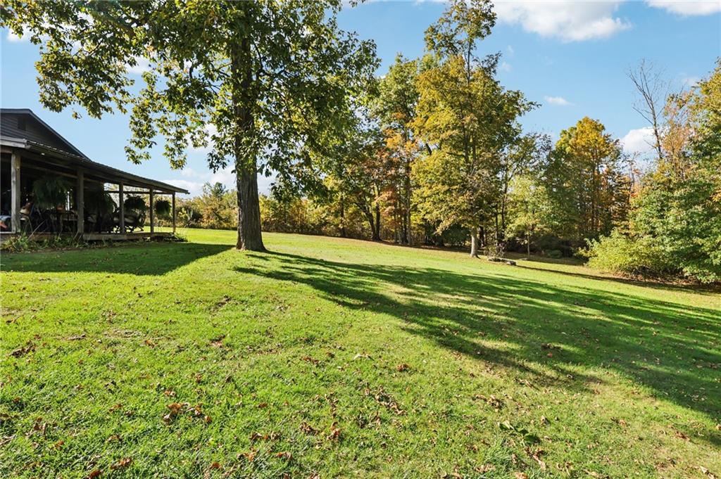 557 Wilson Mill Road New Wilmington, PA 16142 - Photo 39 of 41 a view of a park with large trees