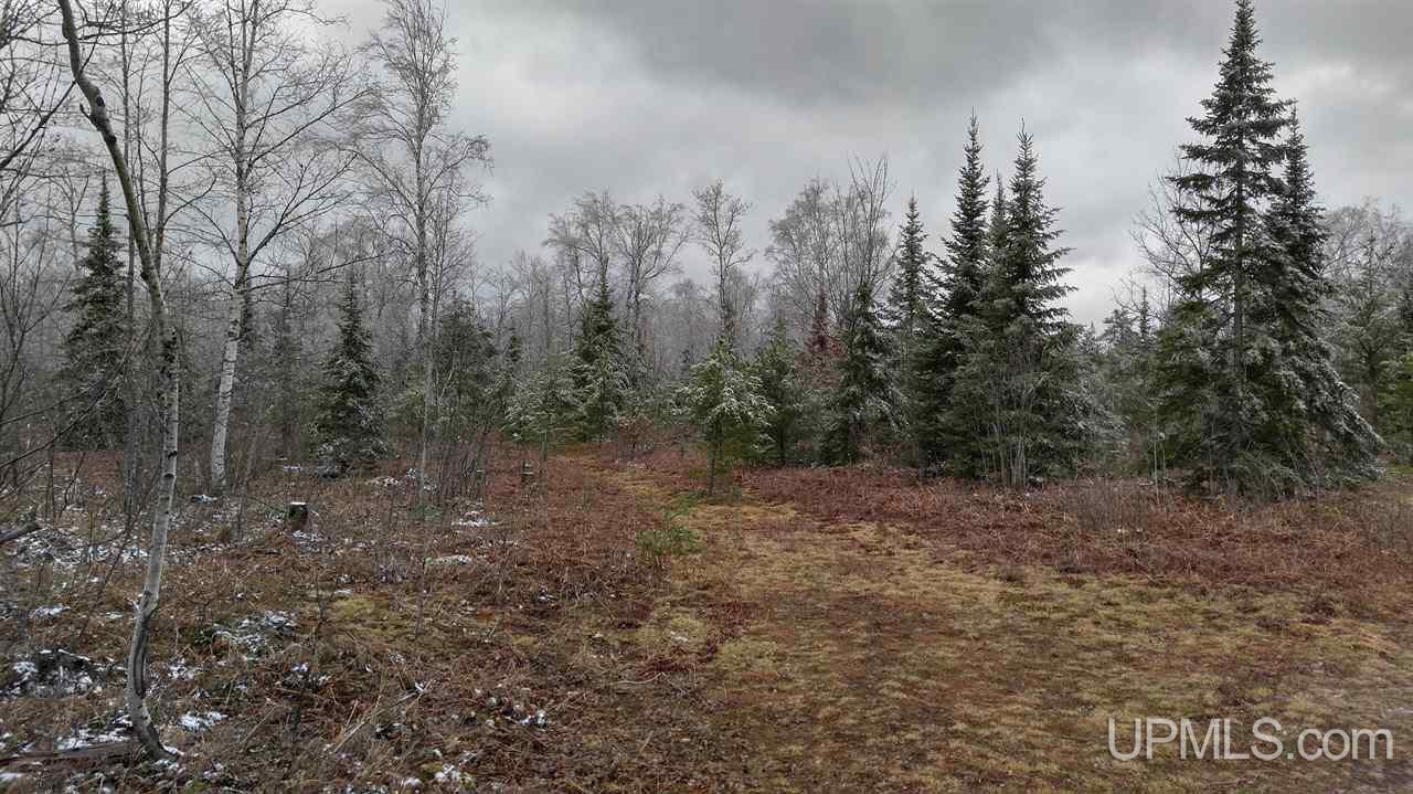 73-acres Co Rd 480 Marquette, MI 49855 - Photo 6 of 18