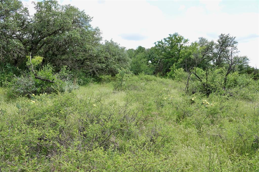 219 C R 550 Mullin, TX 76864 - Photo 26 of 37 a view of a lush green forest