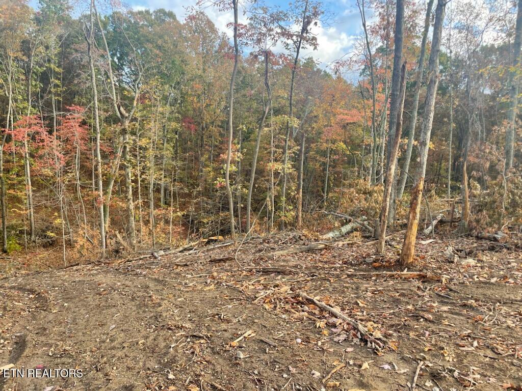 Grove Road Loudon, TN 37774 - Photo 11 of 12 1000005671