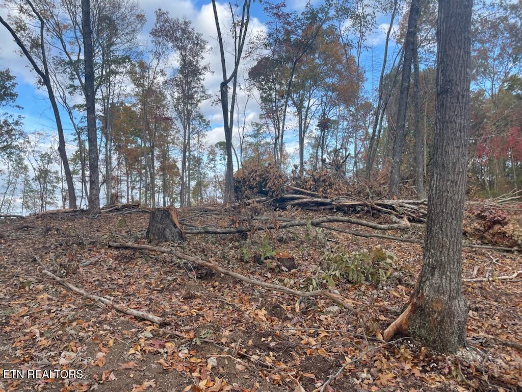 Grove Road Loudon, TN 37774 - Photo 4 of 12 1000005682