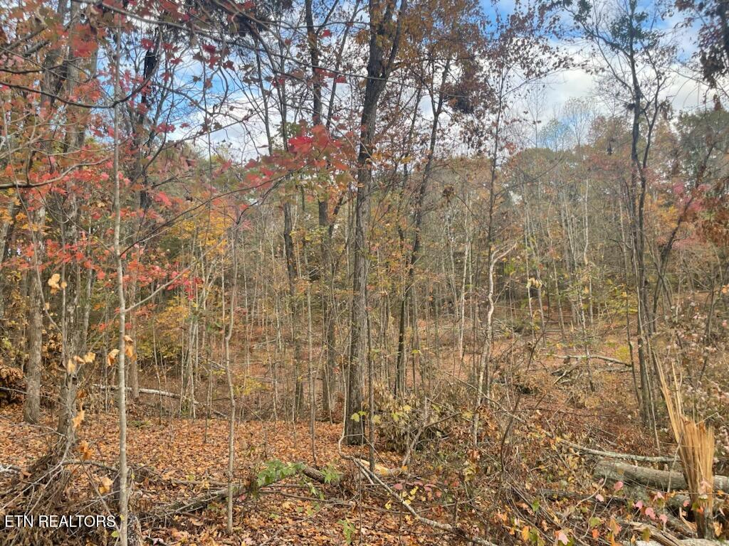 Grove Road Loudon, TN 37774 - Photo 5 of 12 1000005681