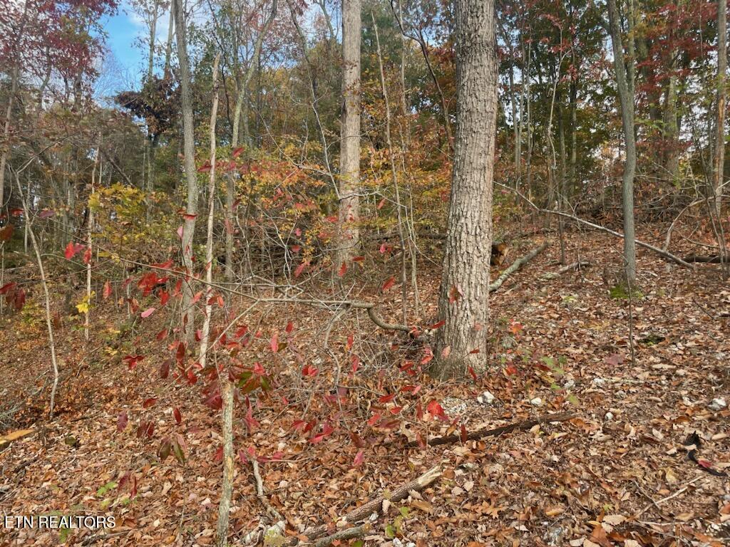 Grove Road Loudon, TN 37774 - Photo 6 of 12 1000005680