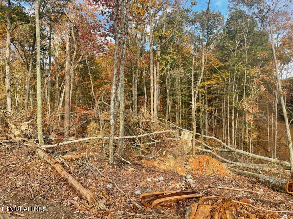 Grove Road Loudon, TN 37774 - Photo 7 of 12 1000005670