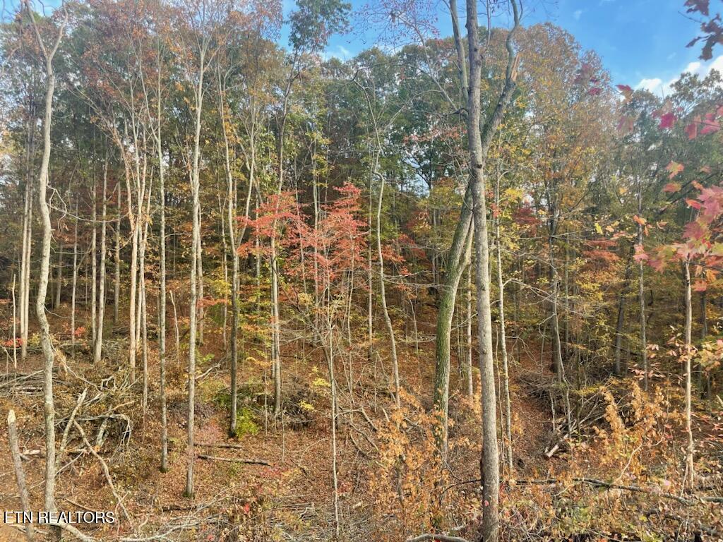 Grove Road Loudon, TN 37774 - Photo 8 of 12 1000005669