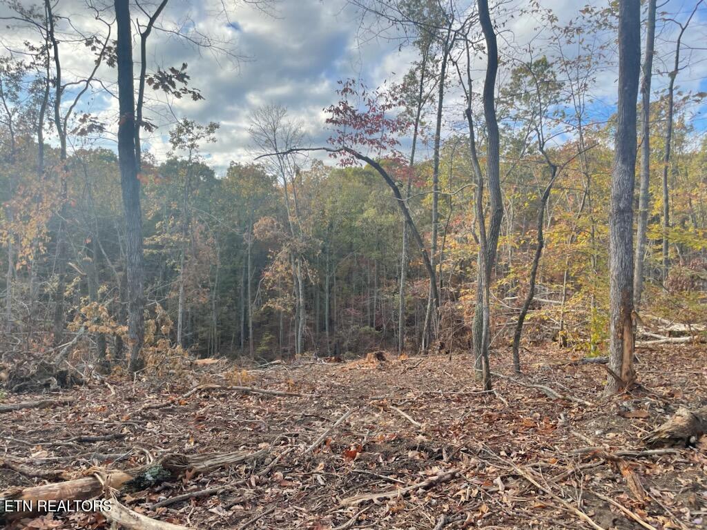 Grove Road Loudon, TN 37774 - Photo 9 of 12 1000005673