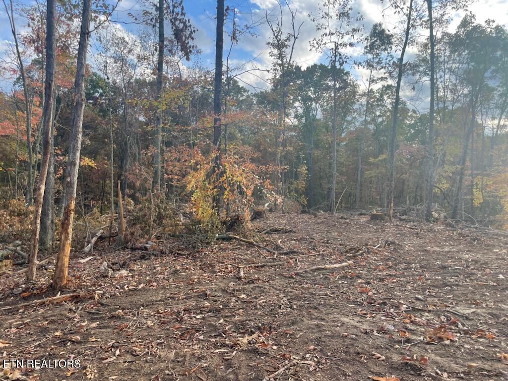 Grove Road Loudon, TN 37774 - Photo 10 of 12 1000005672