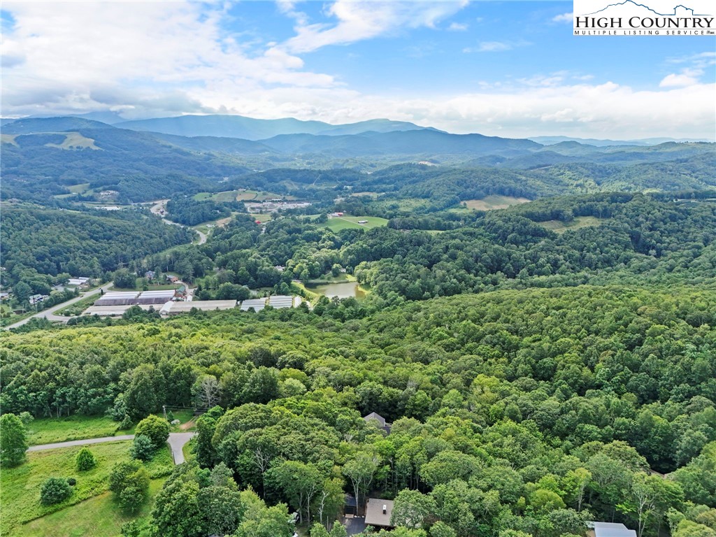 10 Maple Lane Newland, NC 28657 - Photo 7 of 22 a view of a green field with lots of bushes