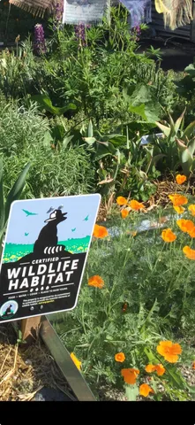 $648,500 | 321 Alder Street, Hailey, ID 83333