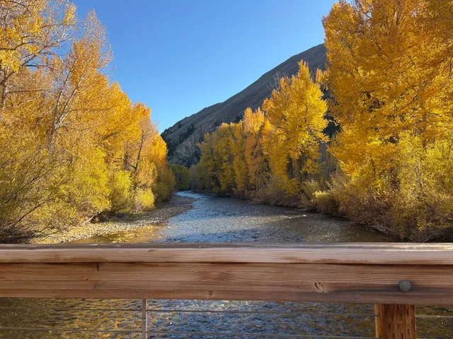 $648,500 | 321 Alder Street, Hailey, ID 83333