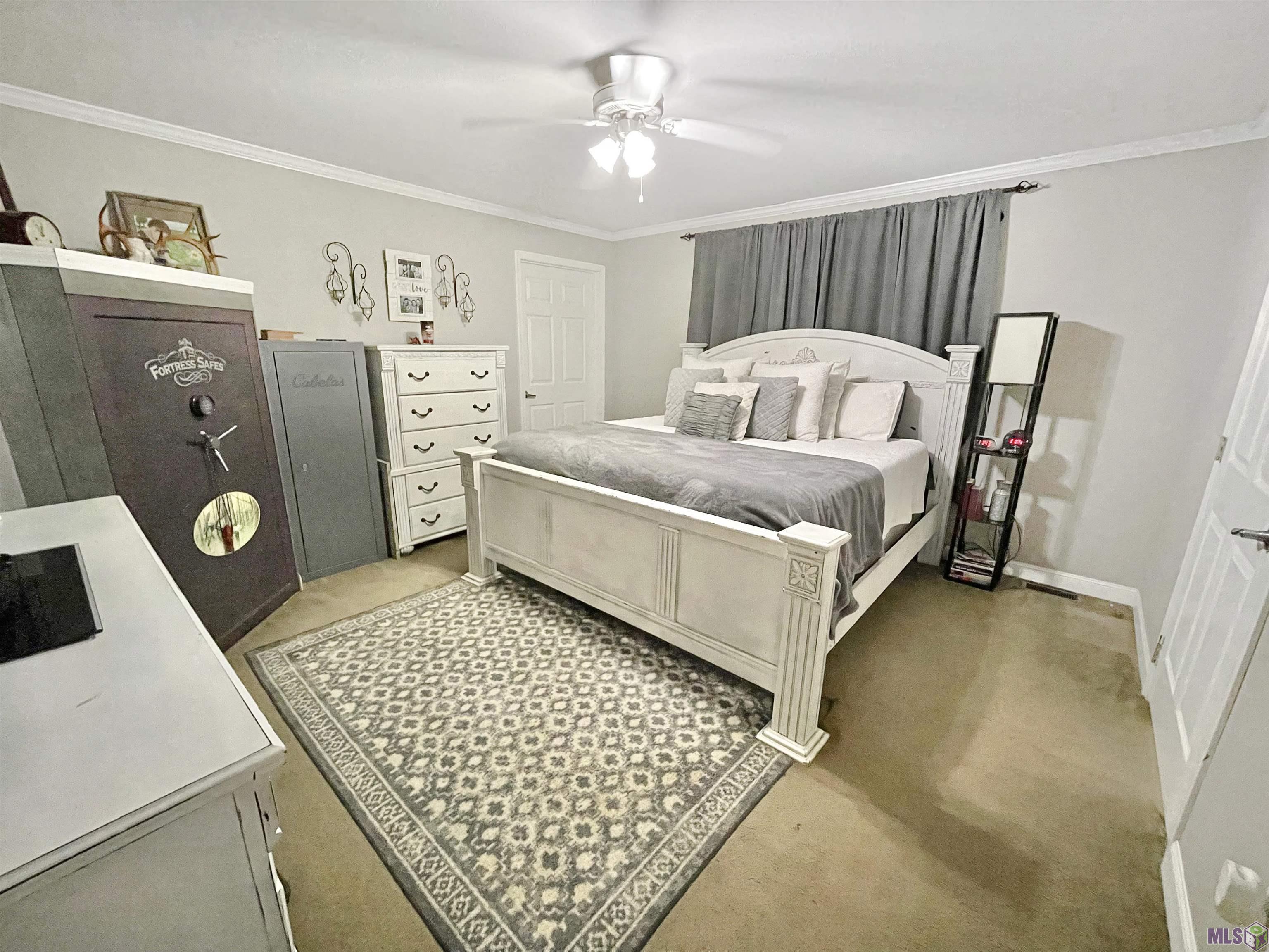 11550 Herman Ernest Road Denham Springs, LA 70706 - Photo 5 of 14