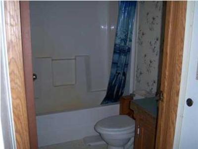 10056 Reed Road Howard City, MI 49329 - Photo 4 of 5 Additional Photo