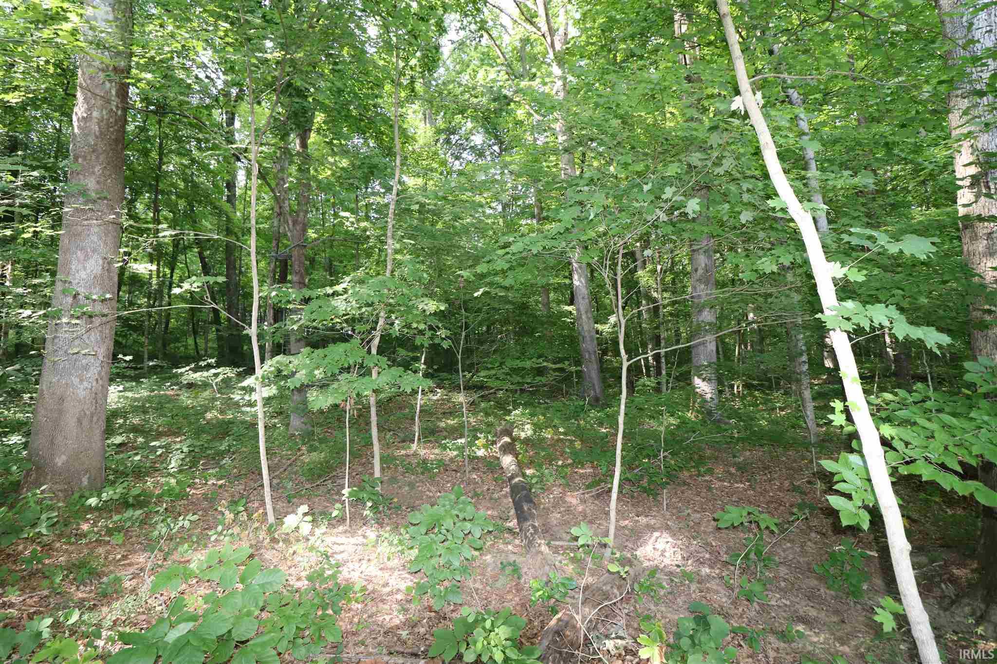 8600 West Rock East Road Bloomington, IN 47403 - Photo 17 of 33