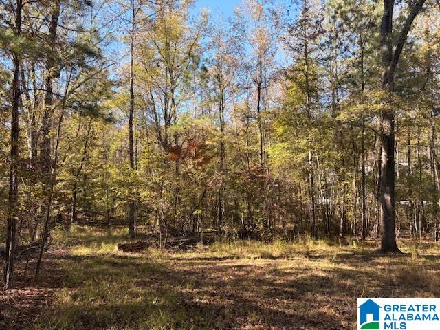 4540 Cabin Road, Unit 4 AND 6 Bessemer, AL 35022 - Photo 11 of 13