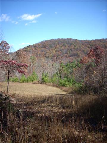 184 Mt Bethel Church Road Sunset, SC 29685 - Photo 1 of 13 Gallery Image 1
