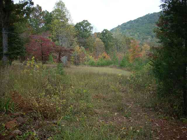 184 Mt Bethel Church Road Sunset, SC 29685 - Photo 4 of 13 Gallery Image 4