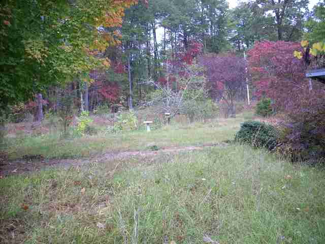 184 Mt Bethel Church Road Sunset, SC 29685 - Photo 6 of 13 Gallery Image 6