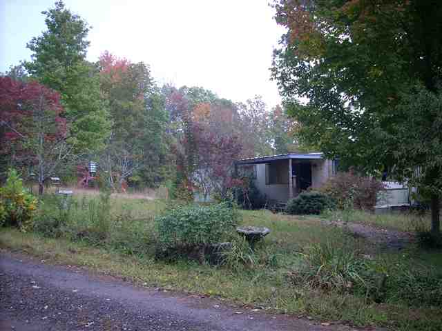 184 Mt Bethel Church Road Sunset, SC 29685 - Photo 7 of 13 Gallery Image 7