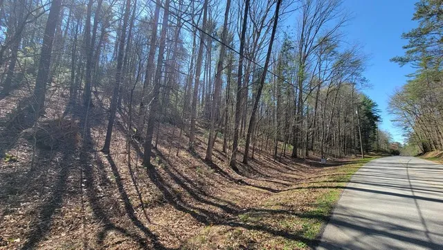 $317,000 | Na Rock Creek Road, Cherry Log, GA 30522