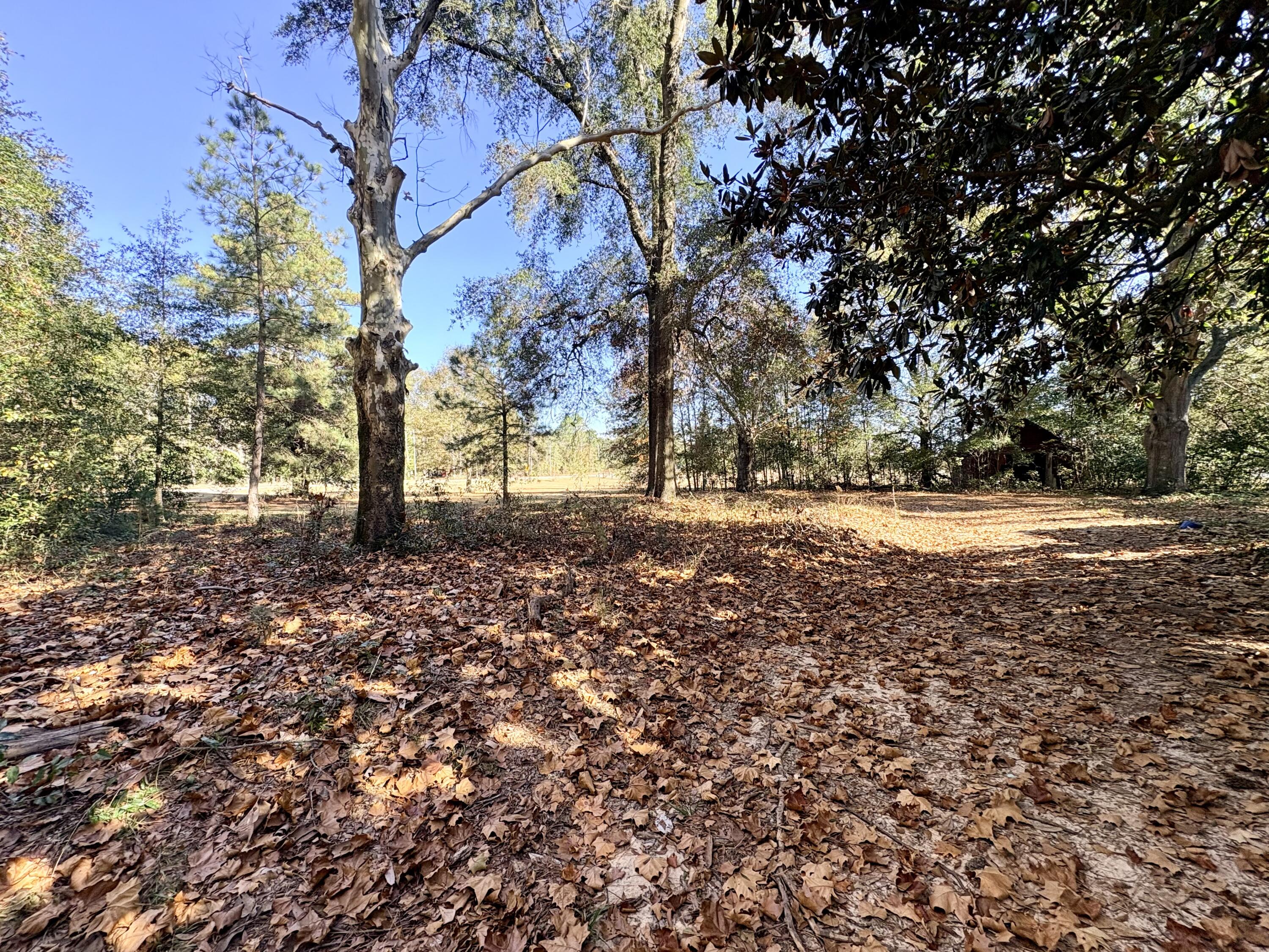 1409 Fairview Road Pelion, SC 29123 - Photo 48 of 52