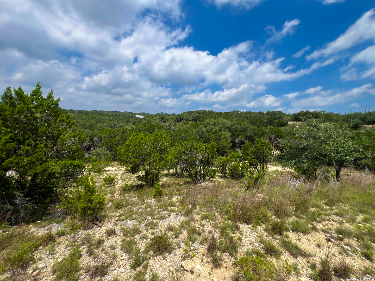 119 Champion Way Spring Branch, TX 78070 - Photo 20 of 22