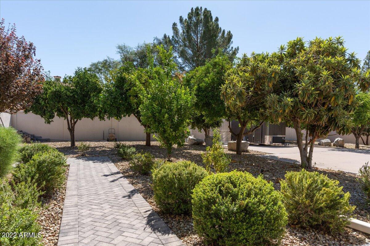 7281 East Royal Palm Road Scottsdale, AZ 85258 - Photo 63 of 63 Citrus Trees