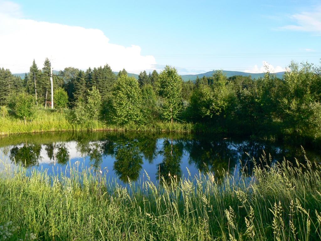 408 East Colebrook Road Colebrook, NH 03576 - Photo 18 of 20