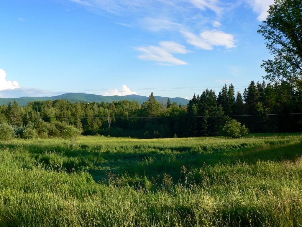 408 East Colebrook Road Colebrook, NH 03576 - Photo 4 of 20