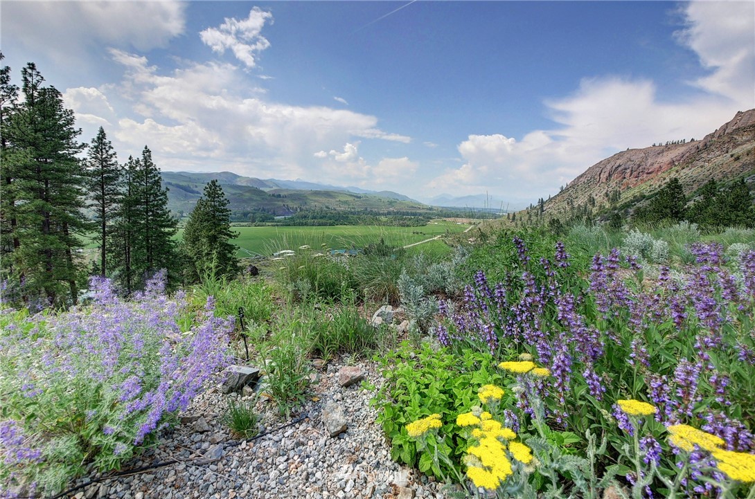 58 Balky Hill Road Twisp, WA 98856 - Photo 3 of 25 Gallery Image 3