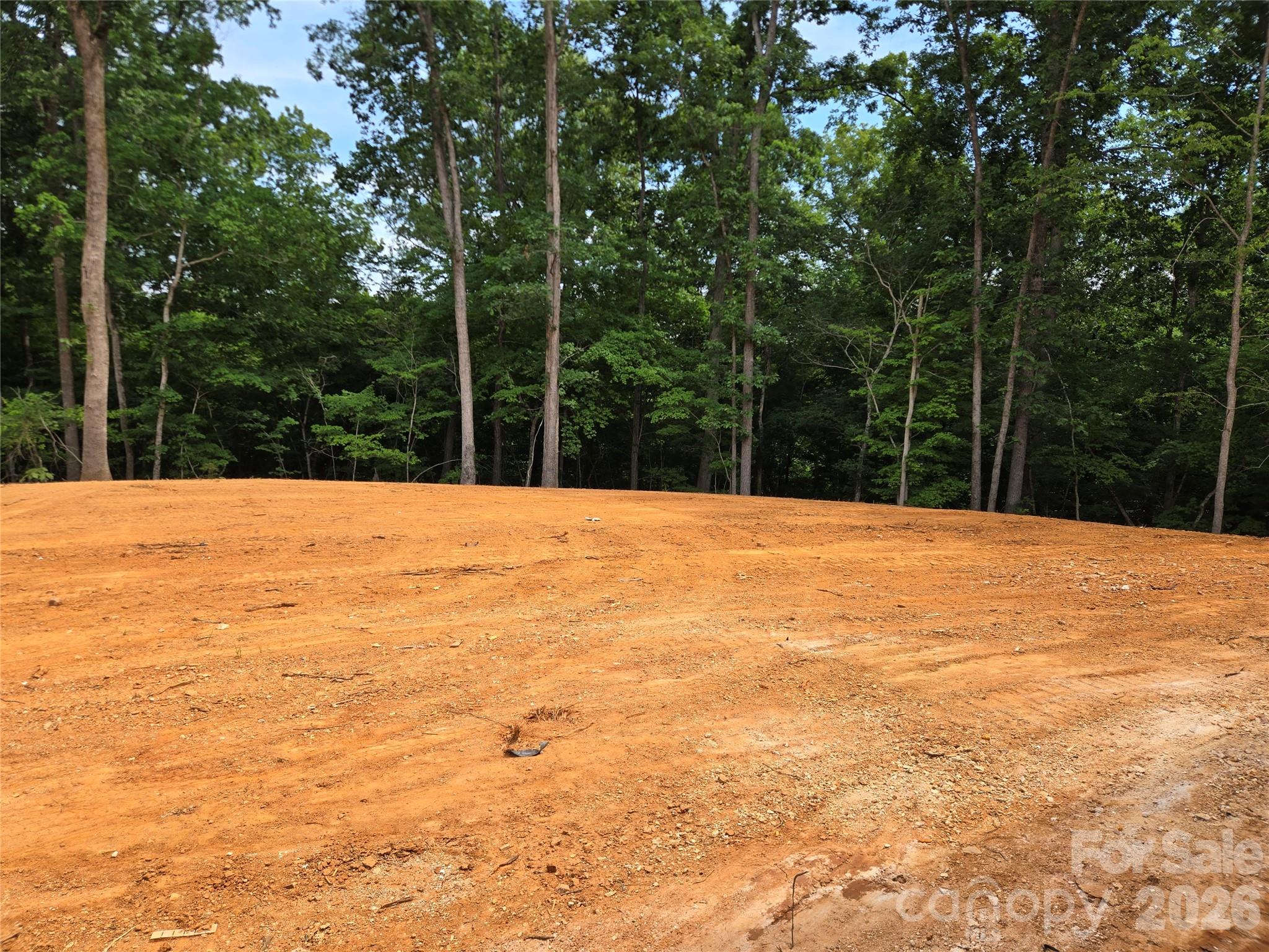 326 Point Carpenter Road Fort Mill, SC 29707 - Photo 11 of 15