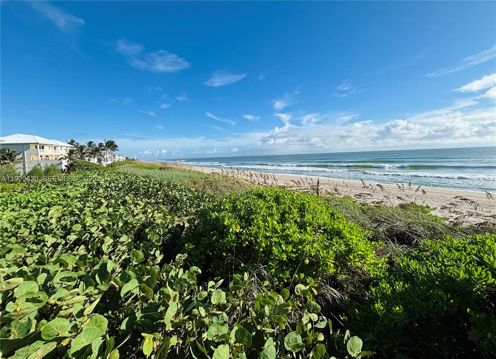 8308 South Ocean Drive Jensen Beach, FL 34957 - Photo 15 of 21 a view of a yard with a tree