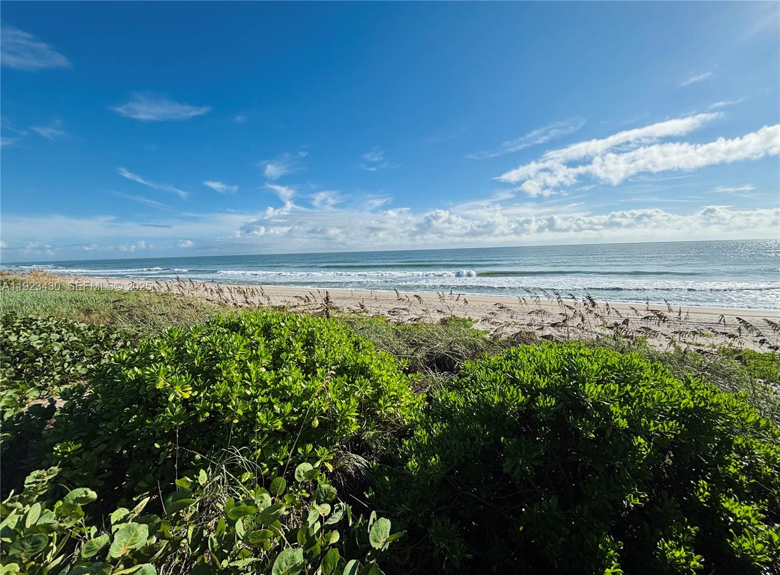 8308 South Ocean Drive Jensen Beach, FL 34957 - Photo 16 of 21 a view of a yard with an outdoor space