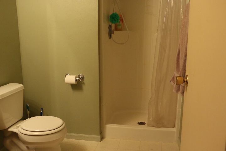 3442 Yale Bridge Road Rockton, IL 61072 - Photo 16 of 27 a bathroom with a granite countertop toilet and a shower