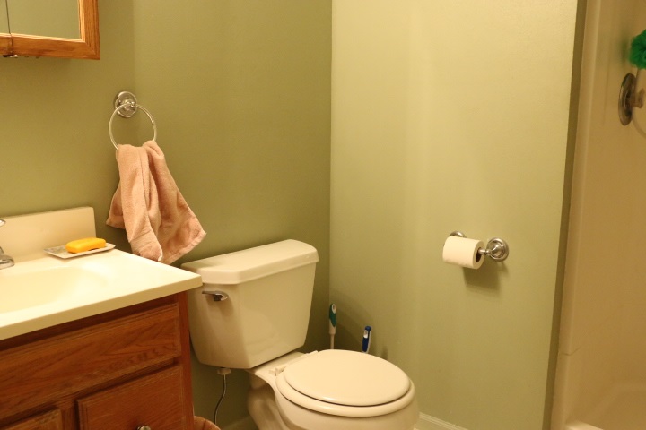 3442 Yale Bridge Road Rockton, IL 61072 - Photo 17 of 27 a white toilet sitting next to a shower curtain