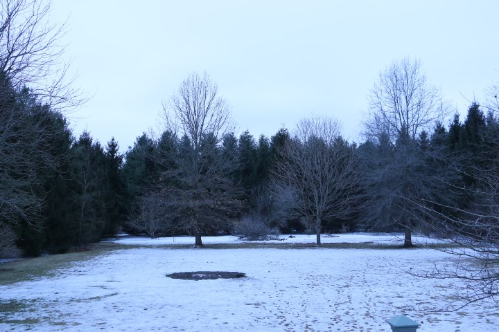 3442 Yale Bridge Road Rockton, IL 61072 - Photo 5 of 27 a view of a yard with trees
