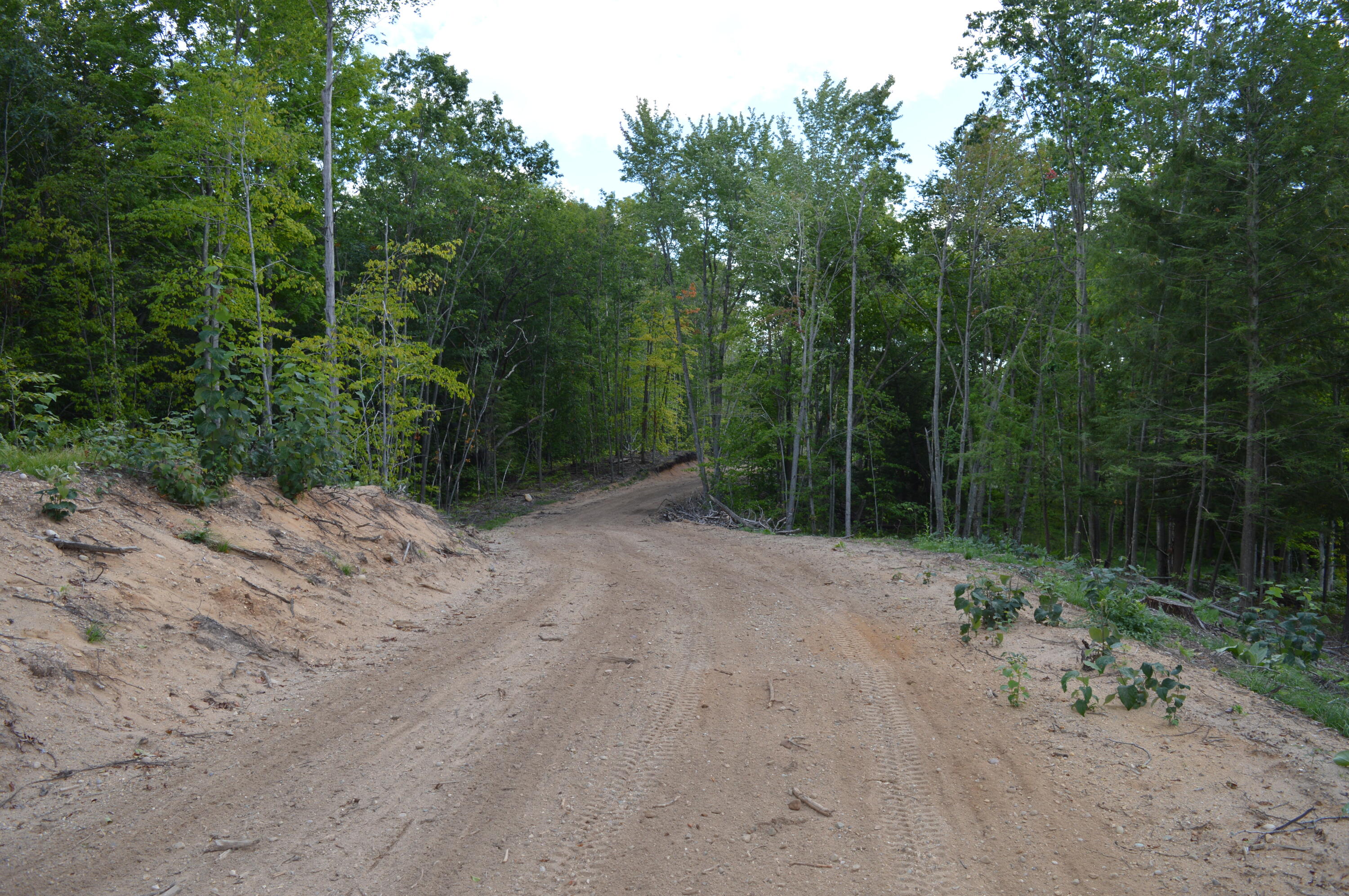 East County Line Road South Branch, MI 48761 - Photo 8 of 87 Gallery Image 8