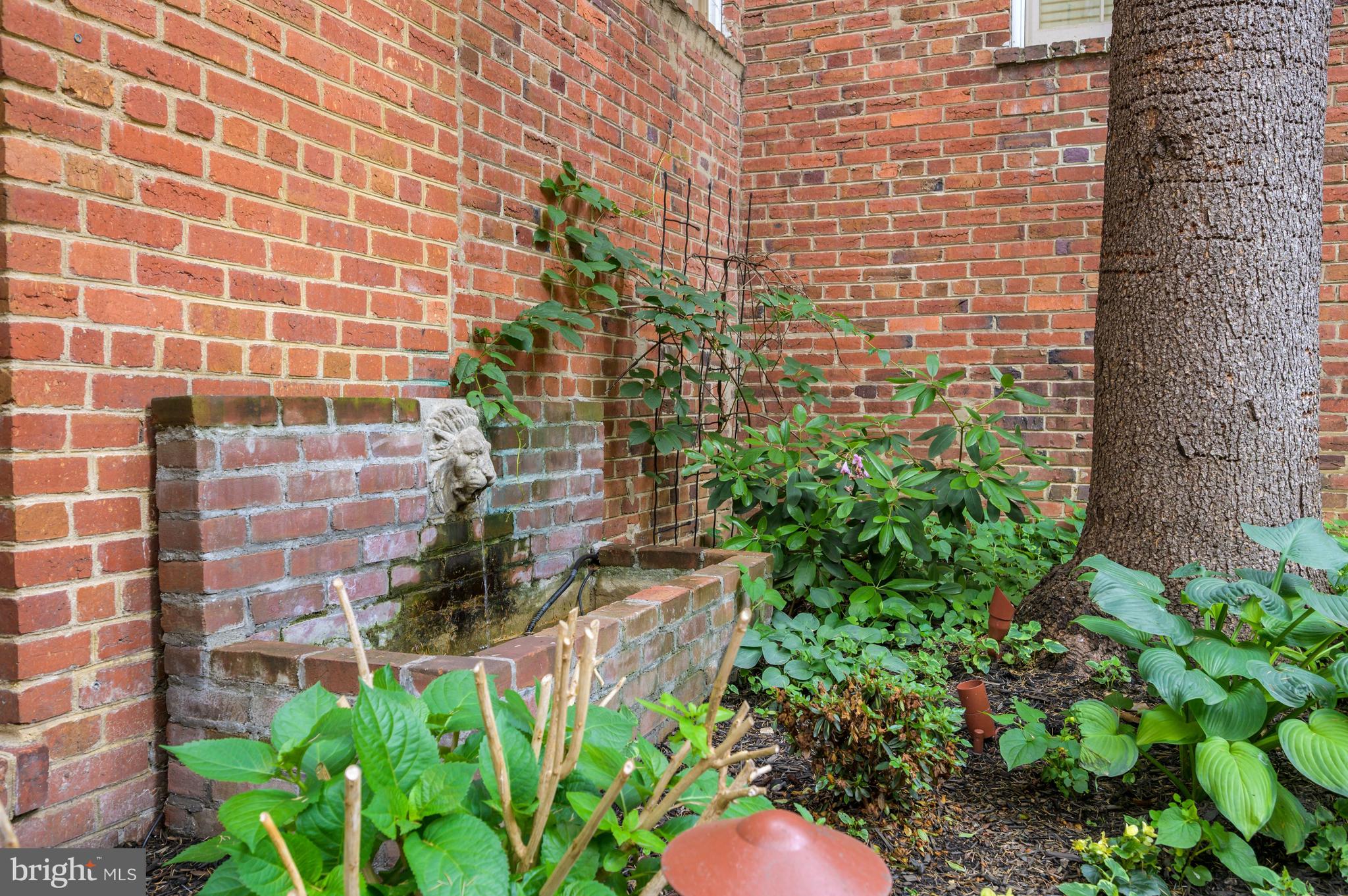 1675 34th Street Northwest Washington, DC 20007 - Photo 38 of 41 Lovely fountain