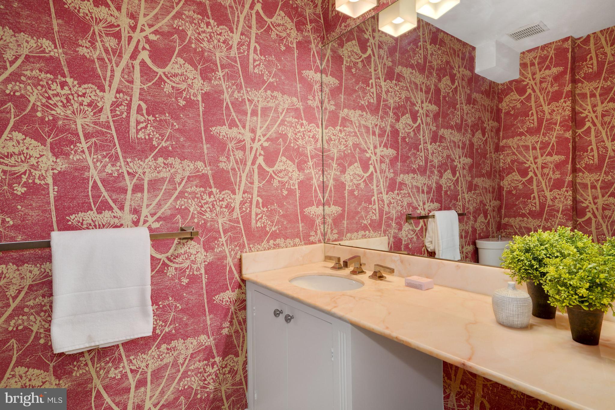 1675 34th Street Northwest Washington, DC 20007 - Photo 8 of 41 First floor powder room