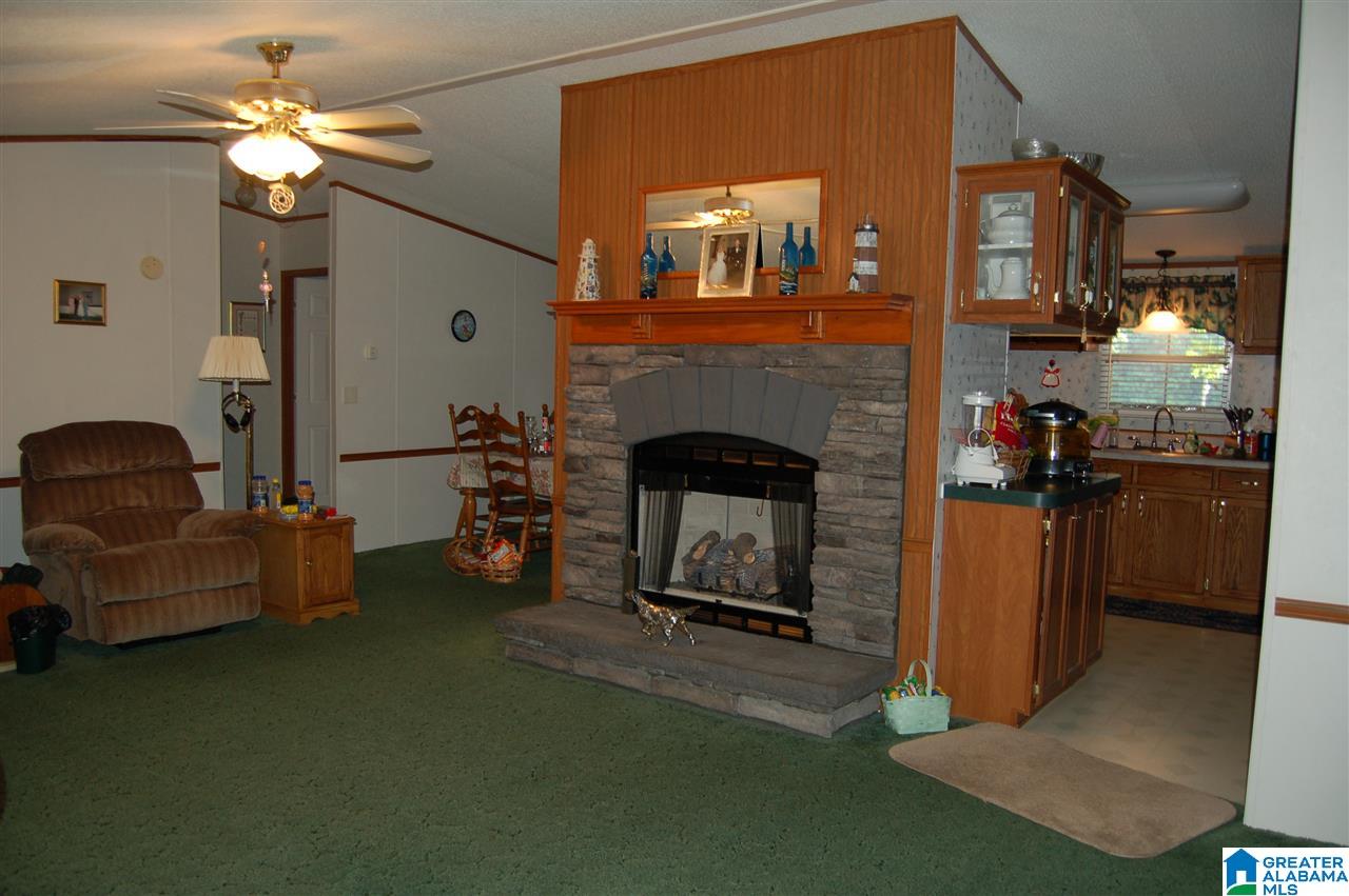 387 County Road 265 Wedowee, AL 36278 - Photo 10 of 17