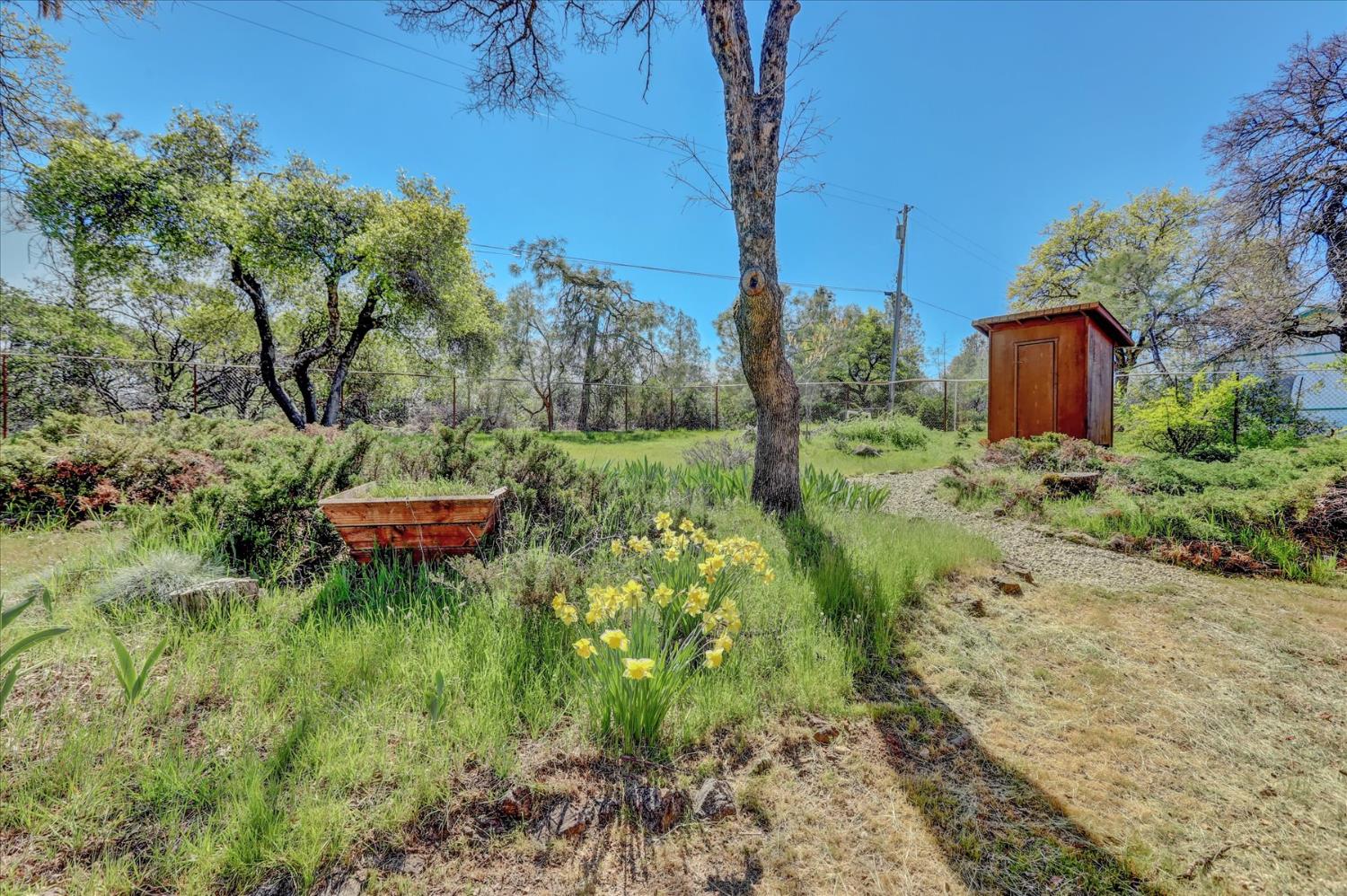 10265 Newtown Road Nevada City, CA 95959 - Photo 17 of 35 a backyard of a house with lots of green space