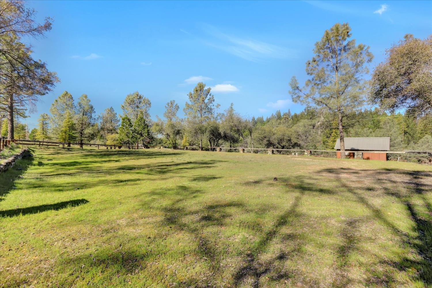 10265 Newtown Road Nevada City, CA 95959 - Photo 20 of 35 a view of grassy field with trees