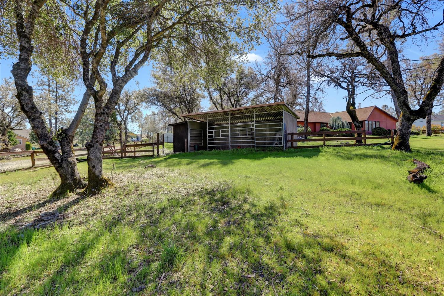 10265 Newtown Road Nevada City, CA 95959 - Photo 23 of 35 a view of a yard with large trees