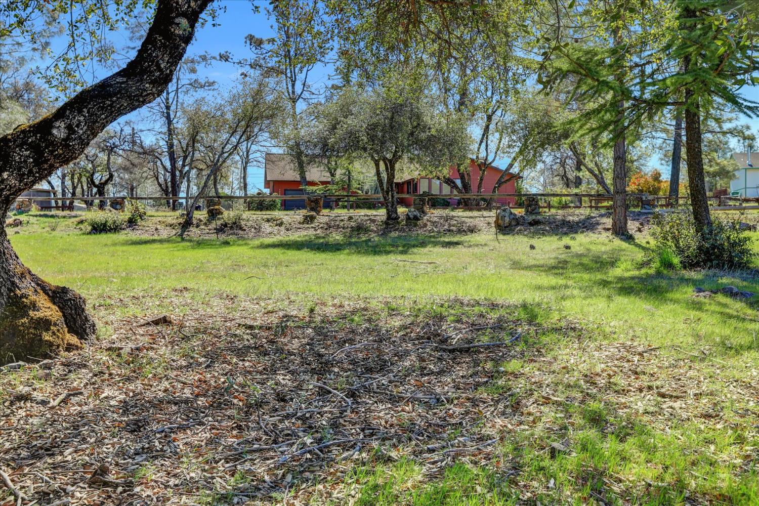 10265 Newtown Road Nevada City, CA 95959 - Photo 24 of 35 a view of garden with trees
