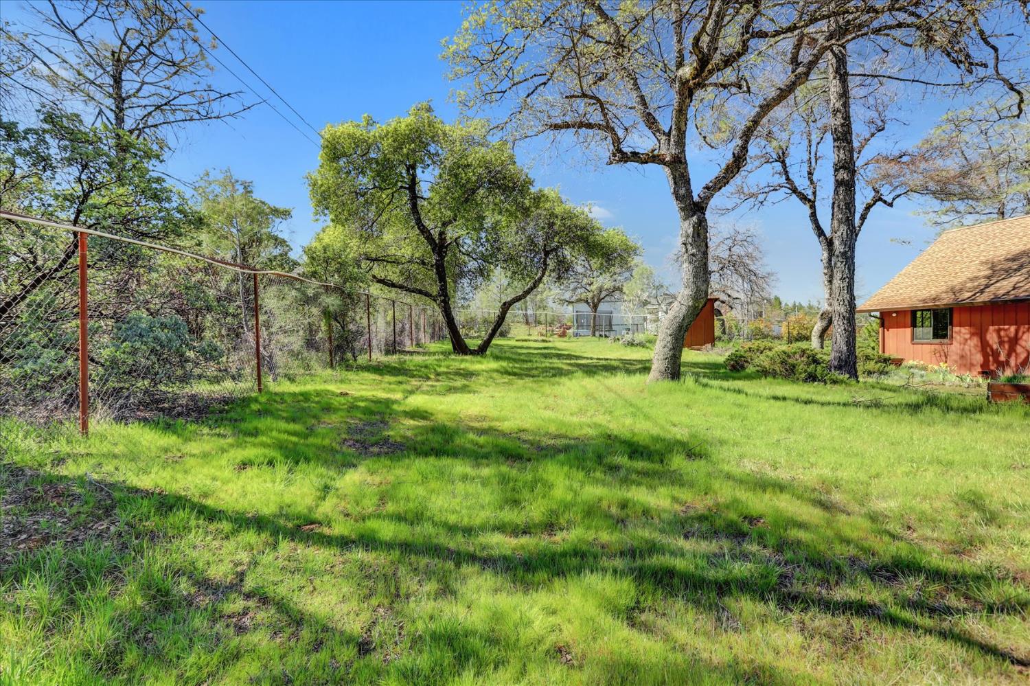 10265 Newtown Road Nevada City, CA 95959 - Photo 28 of 35 a view of a backyard with large trees