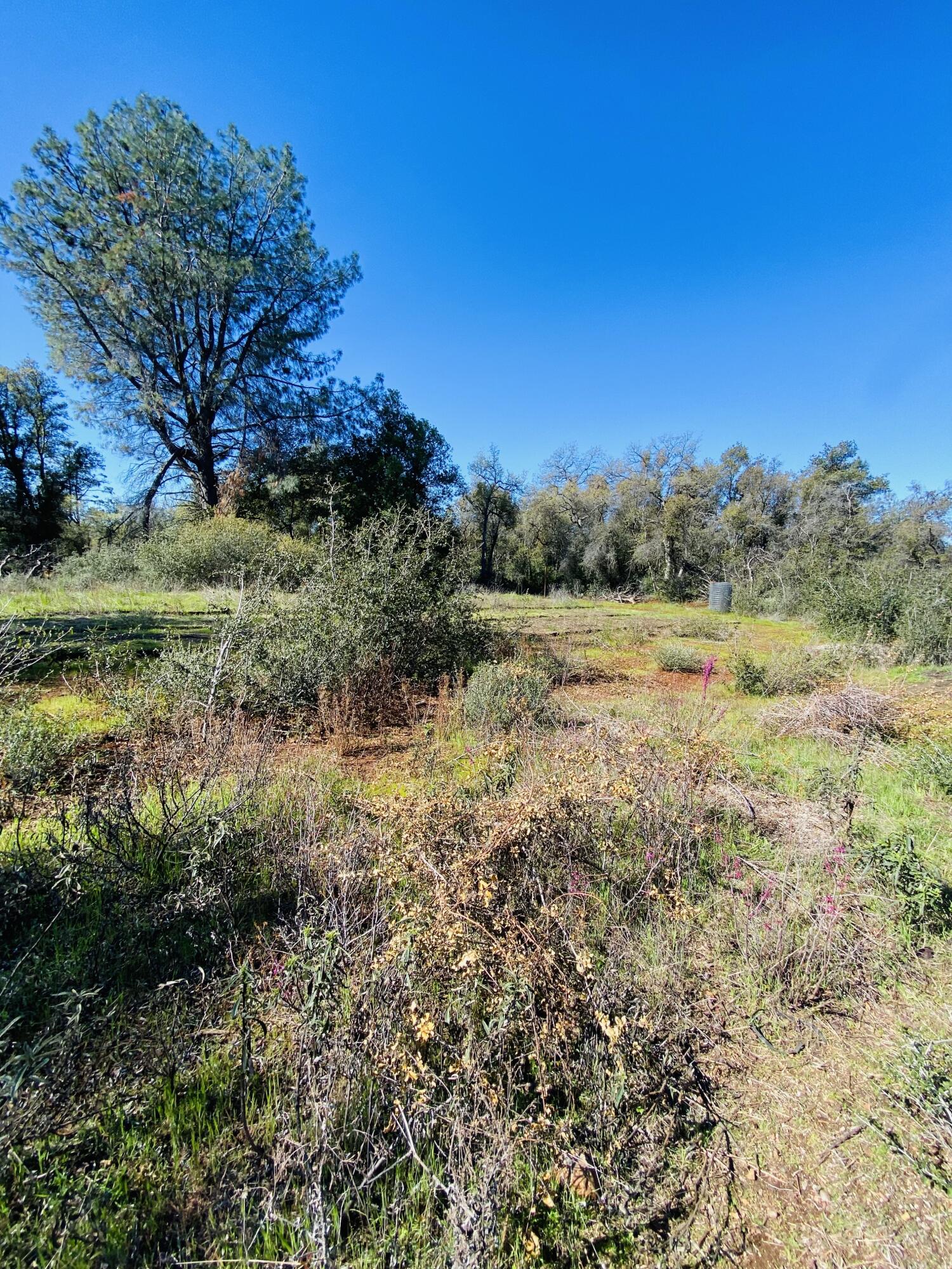 7721 Fisher Road Shingletown, CA 96088 - Photo 12 of 12 4