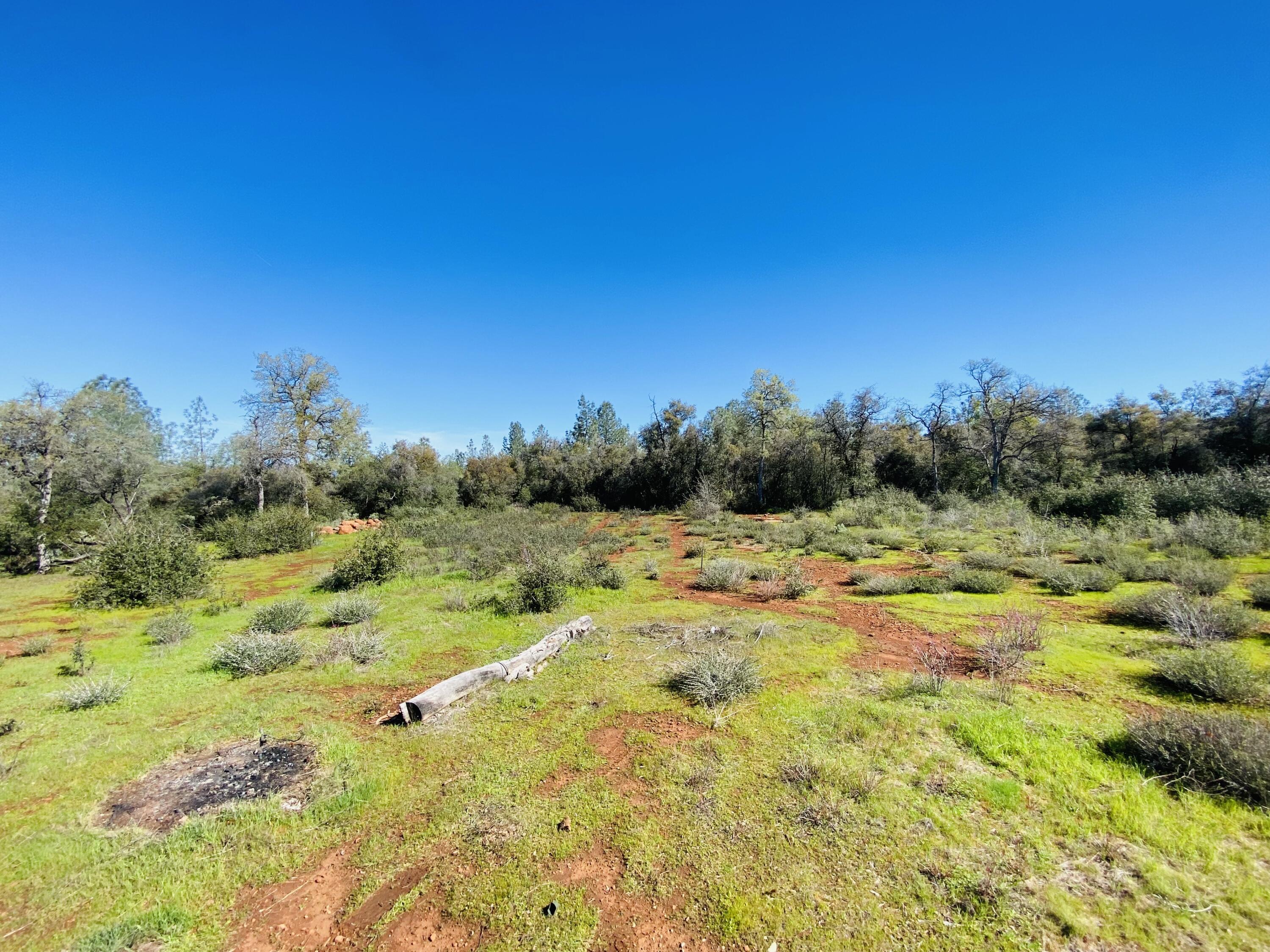 7721 Fisher Road Shingletown, CA 96088 - Photo 9 of 12 12