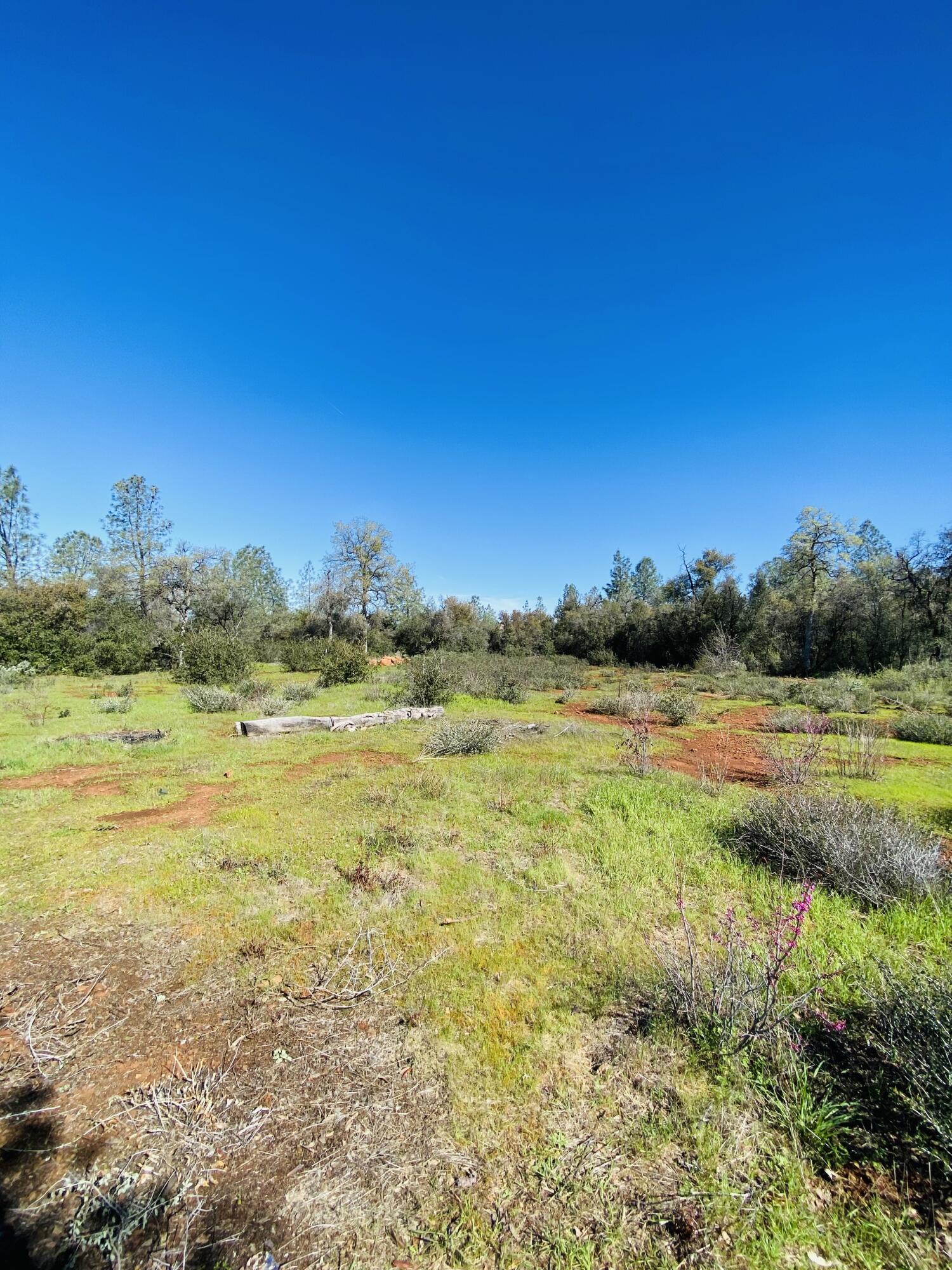 7721 Fisher Road Shingletown, CA 96088 - Photo 10 of 12 11