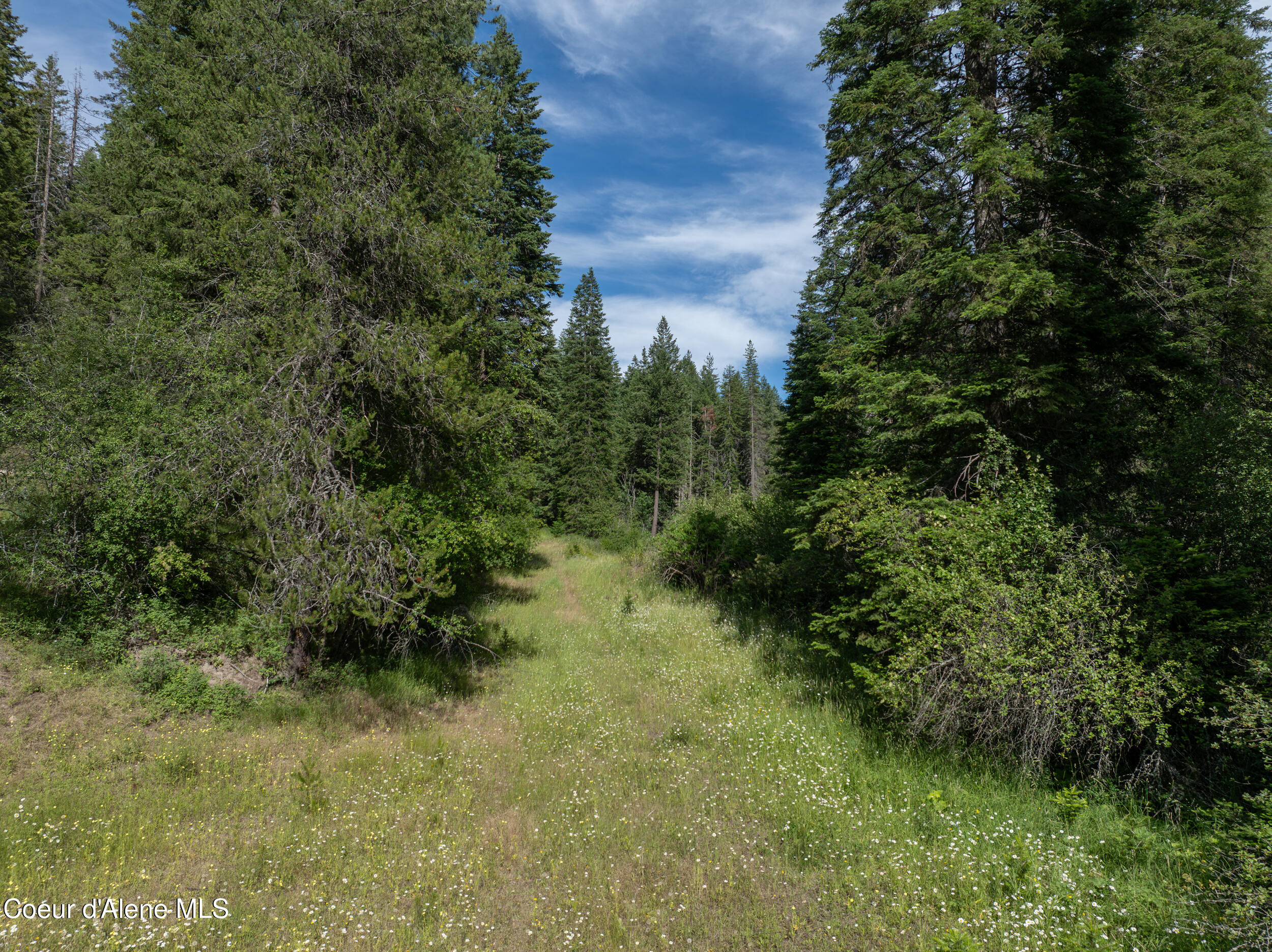 6 Harvard Id 83834 Harvard, ID 83834 - Photo 9 of 32 Cow Creek Tweedy (14 of 29)